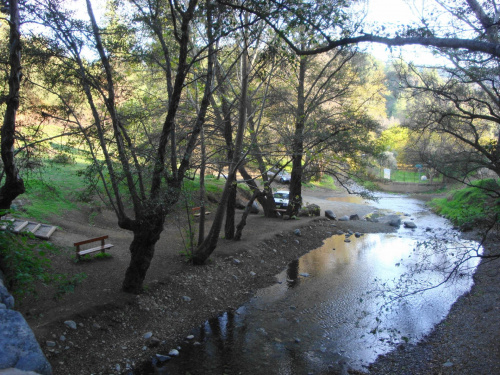 Cypr,przy moście Kelefos #Cypr #drzewa #rzeczka #potok #odbicie #las #jesień #piknik #słońce