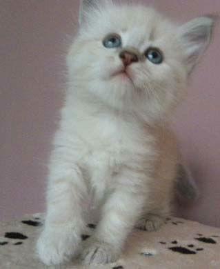 Tu podaj tekst alternatywny