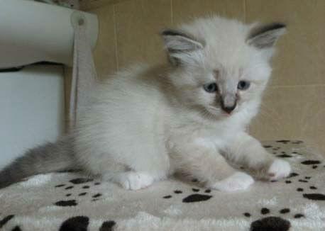 Tu podaj tekst alternatywny