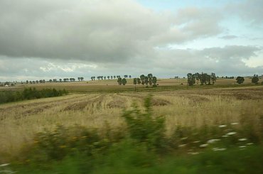 #PKP #kolej #pociągi #widoki