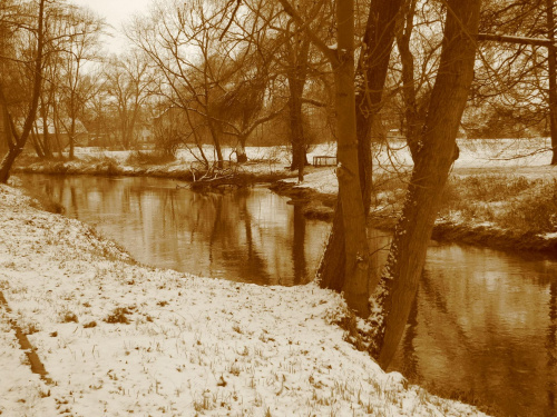 Park zimą ...