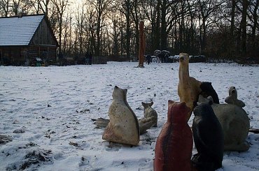 3D -Grzybowo /k. Wrześni -11.01.2009 #Grzybowo #TurniejŁuczniczy