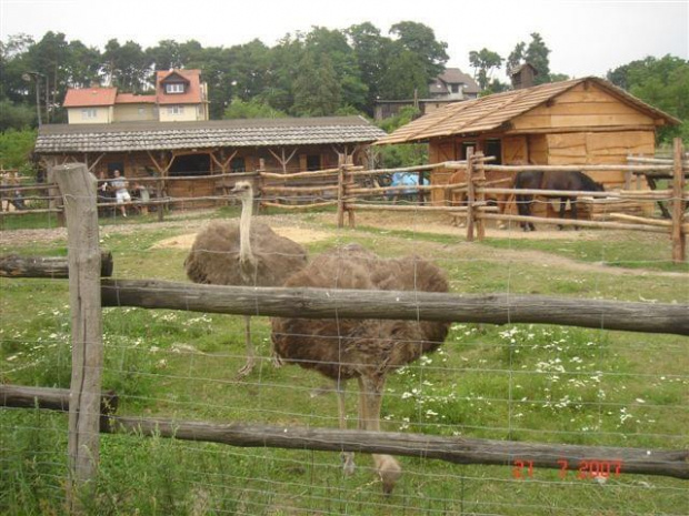 Traperska Osada COUNTRY The Medley - Bolechówko-Owińska 2007.07 #TraperskaOsadaCountryImpreza