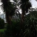 Royal Botanic - Edynburgh