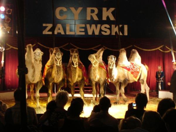 Cyrk Zalewski 2006 Zakaz kopiowania zdjęć zapraszamy na www.cyrk-fan.com #CyrkZalewski