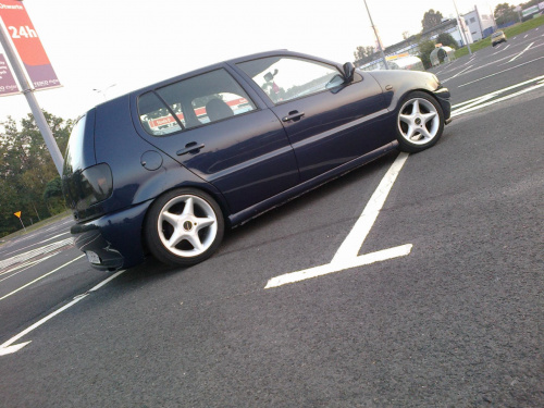 polo 6n