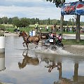 JARANTÓW 2008 Mistrzostwa Świata w Powożeniu Zaprzęgami Jednokonnymi