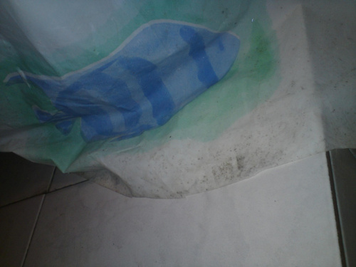 zasłonka w łazience, porośnięta pleśnią