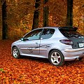 sesja jesienna #Peugeot206S16Gti
