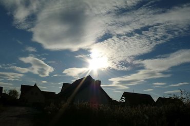 zachod #jesien #slonce #rosliny