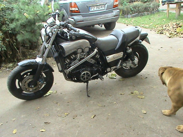 v-max
