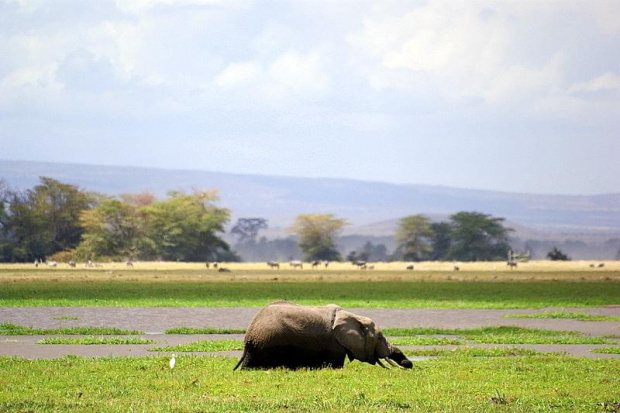 Kenia #wakacje #Kenia