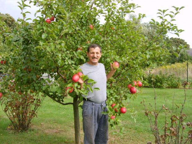 Moja jabłoń