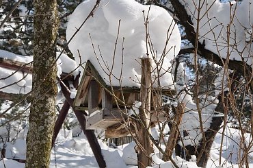 #Zima #śnieg #tatry #góry #MaleCiche #BukowinaTatrzańska #Podhale