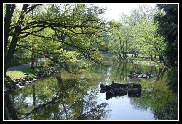 mirror - Ogród Japoński we Wrocławiu