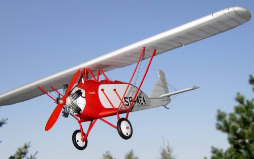 PWS-3