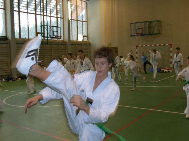 seminarium z MIstrzem Kang Cheol In 7 dan #taekwondo #tkd #walka #zawody