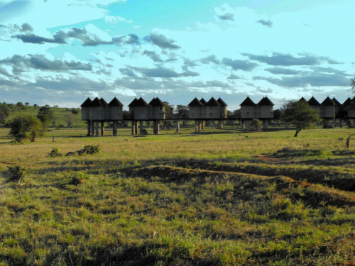 Saltlick Lodges - noclegi na safari #Kenia