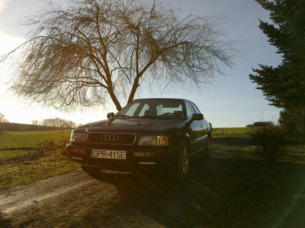 audi 80