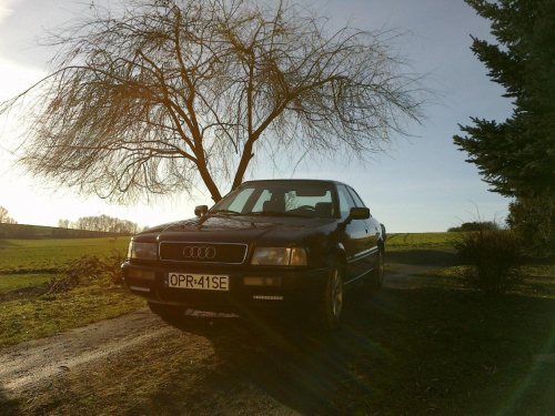 audi 80