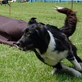 PP Agility Białystok 22.07.2007