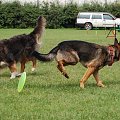 PP Agility Białystok 22.07.2007