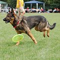 PP Agility Białystok 22.07.2007