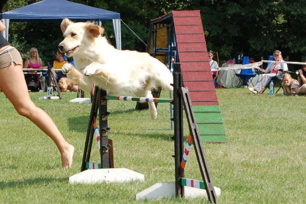 PP Agility Białystok 22.07.2007