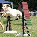 PP Agility Białystok 22.07.2007