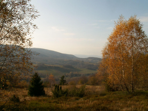 Ach te Bieszczady #Bieszczady #manek #wycieczka #wakacje #góry