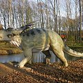 Zoo troszeczkę inaczej :-) #dinozaury #historia #JurassicPark #natura #zwierzęta