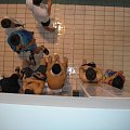 Zamość finał województwa 2007/2008