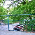 06.05.2007 - W PUSZCZY