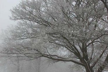 Równica, 14 lutego 2013 #Równica #Ustroń