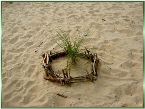 ładne wspomnienie.... #NadMorzem #plaża #spotkane #pamiątka #trawy