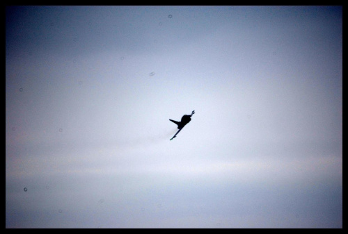 International Air Show Portrush 2007 08/09/2007 #AirShow #samolot #akrobacje #Portrush