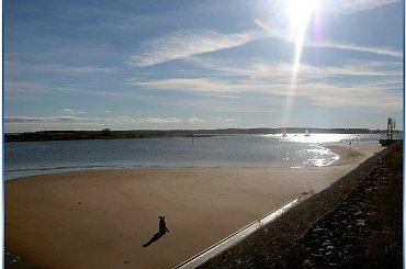 Ness za falochronem w Górkach Zachodnich, skarpa wielkości Giewontu, wyjść nie mogła ale pięknie było!!! #jesień #NadMorzem #Ness #ZaFalochronem