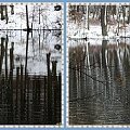 Okruchy zimy odbite w wodzie jeziora Otomino #NadJeziorem #widoki #odbicia #Gdańsk