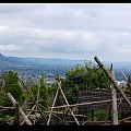 Belfast Zoo - 07/06/2008