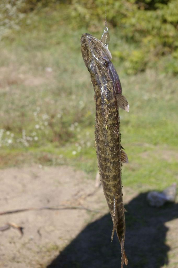 W tym miejscu najczęściej wędkuje i naj lepiej mi się wypoczywa