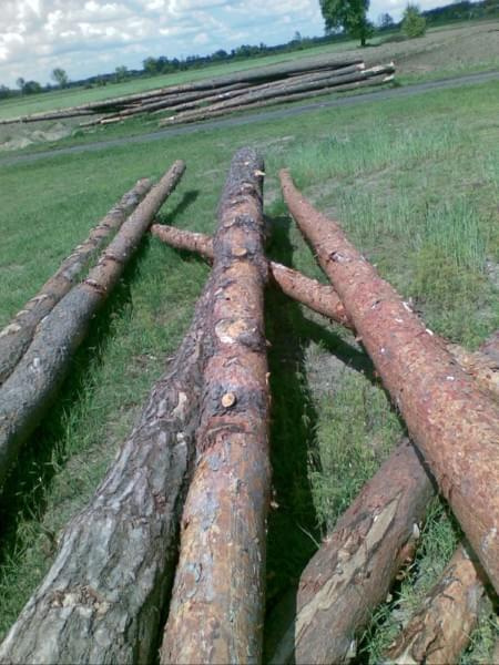 Maj 2008 - Dach - drewno kupione w Lasach Państwowych - skład w tartaku