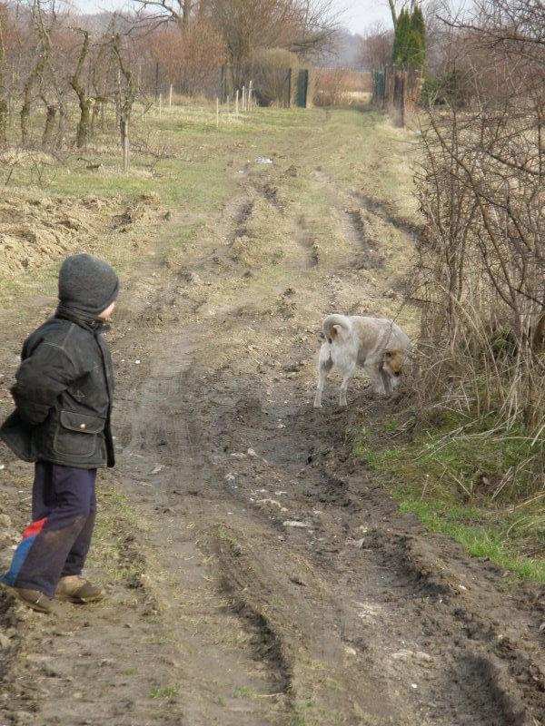 #KarczewNadbrzeżWieś