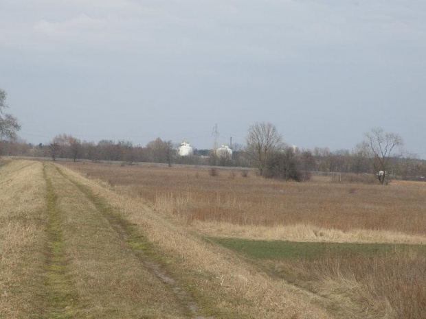 Okolice Karczewa #KarczewPlenerMazowszeMiasteczko