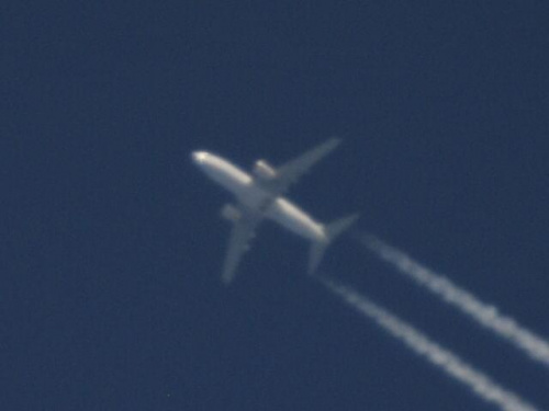 D-AGEQ, Germania, B737-75B, FL380, ADA-TXL