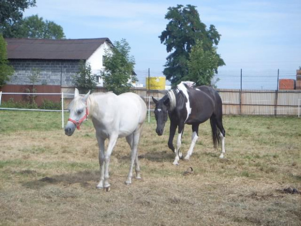 ELANCJA I GABI