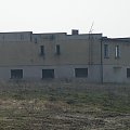 A1